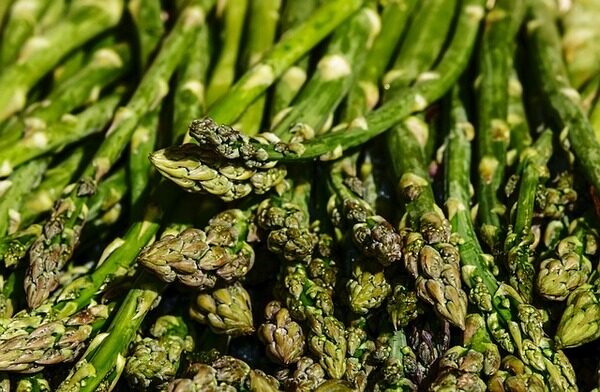 Asparagi lavorati e conservati all’avanguardia