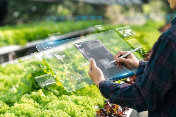 intelligenza artificiale applicata a sostenibilità alimentare