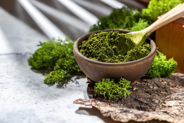 ciotola di alghe chlorella e spirulina essiccate come fonte di proteine alternative