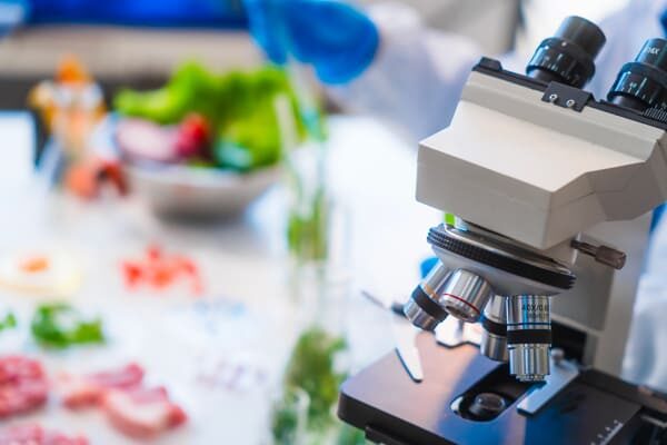 Fermentazione allo stato solido